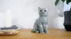 商品画像 2 のサムネイル