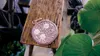 Thumbnail of product image 2