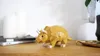 商品画像 3 のサムネイル