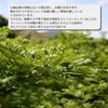 商品画像 6 のサムネイル