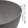 商品画像 3 のサムネイル