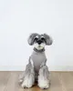 商品圖片 6 縮圖