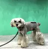 商品圖片 5 縮圖