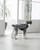 商品圖片 6 縮圖