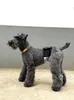 Thumbnail of product image 8