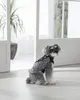 商品圖片 7 縮圖