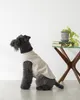 Thumbnail of product image 5