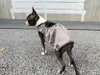 商品圖片 10 縮圖