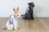 商品圖片 10 縮圖