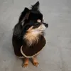 商品画像 1 のサムネイル