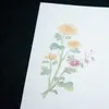 商品画像 2 のサムネイル
