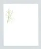 商品画像 5 のサムネイル