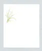 商品画像 6 のサムネイル