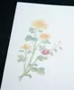 商品画像 4 のサムネイル