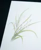 商品画像 6 のサムネイル