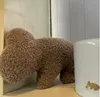 商品画像 5 のサムネイル