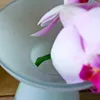 商品圖片 6 縮圖