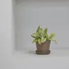 商品画像 3 のサムネイル
