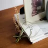商品画像 3 のサムネイル