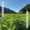 商品画像 3 のサムネイル