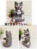 Thumbnail of product image 2