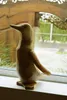 商品画像 4 のサムネイル