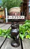 商品圖片 6 縮圖
