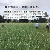 商品画像 2 のサムネイル