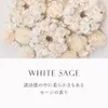 Thumbnail of product image 2
