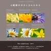商品画像 8 のサムネイル