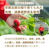 商品画像 5 のサムネイル
