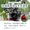 商品画像 4 のサムネイル