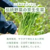 商品画像 5 のサムネイル