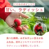 商品圖片 4 縮圖