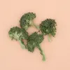 商品圖片 1 縮圖