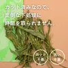 商品画像 9 のサムネイル