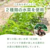 商品画像 5 のサムネイル
