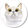 商品画像 1 のサムネイル