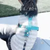 商品画像 6 のサムネイル