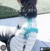 商品画像 8 のサムネイル