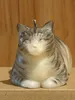 商品画像 1 のサムネイル