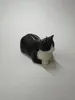 商品画像 3 のサムネイル