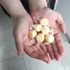 商品画像 2 のサムネイル