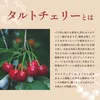 商品画像 3 のサムネイル