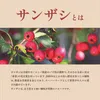 商品画像 3 のサムネイル
