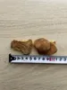 商品画像 3 のサムネイル