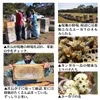 商品圖片 2 縮圖