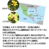 商品圖片 3 縮圖