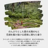 商品圖片 3 縮圖