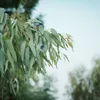 商品圖片 3 縮圖